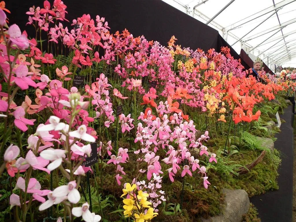 Floral marquee in the long water area 23